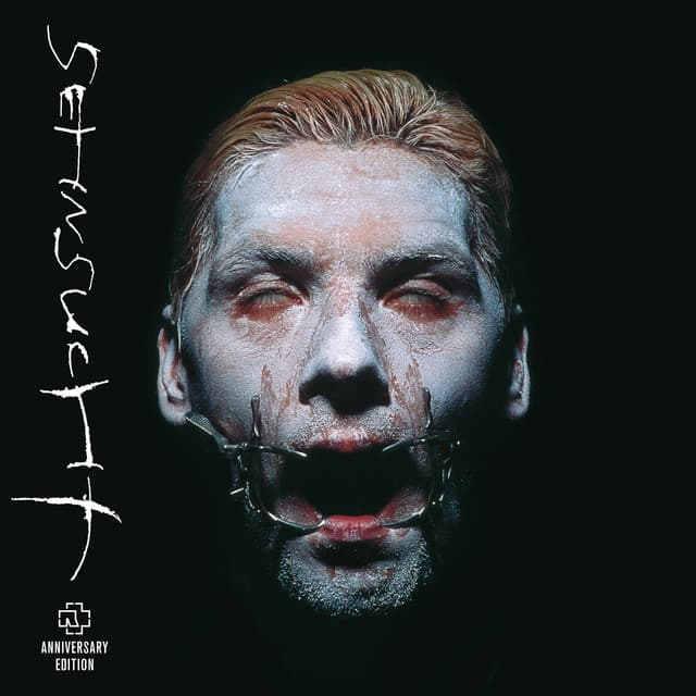 Du hast by Rammstein